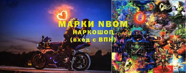 ПСИЛОЦИБИНОВЫЕ ГРИБЫ Балахна