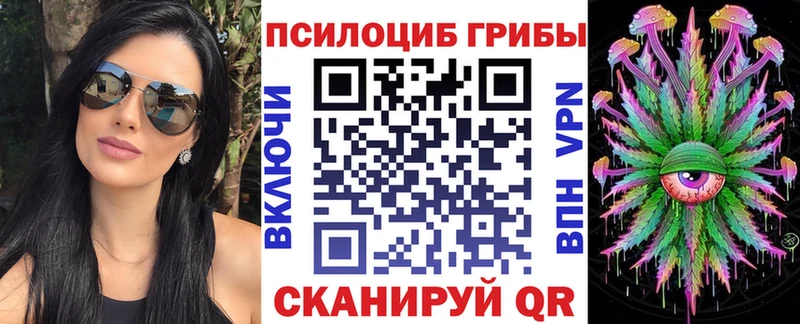 Псилоцибиновые грибы Psilocybe  Бор 
